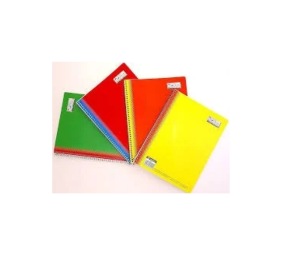 Cuaderno Roca Profesional Espiral Raya con 200 Hojas 5120