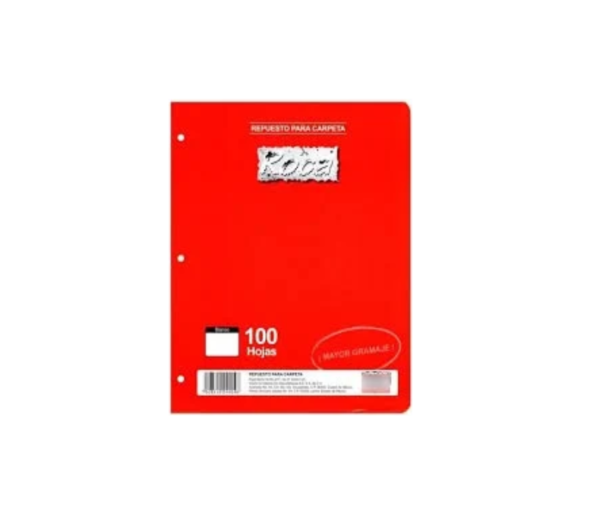 Hojas Roca Blancas para Carpeta con 100 4004