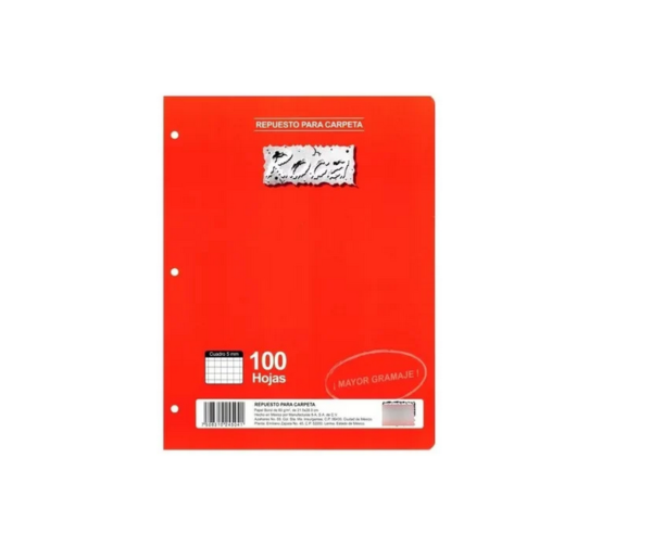 Hojas Roca Cuadro Chico C 5 para Carpeta con 100 4504