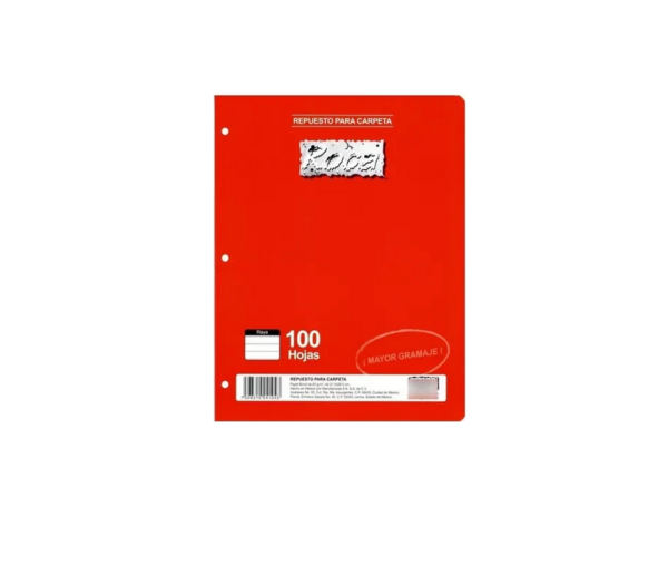 Hojas Roca Raya para Carpeta con 100 4104
